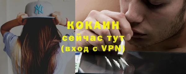 мескалин Дмитриев
