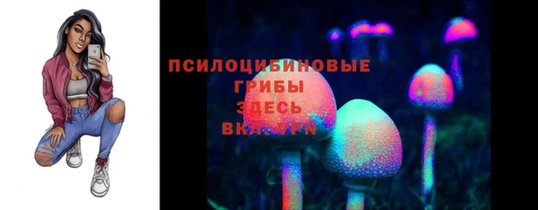 тгк Гусь-Хрустальный