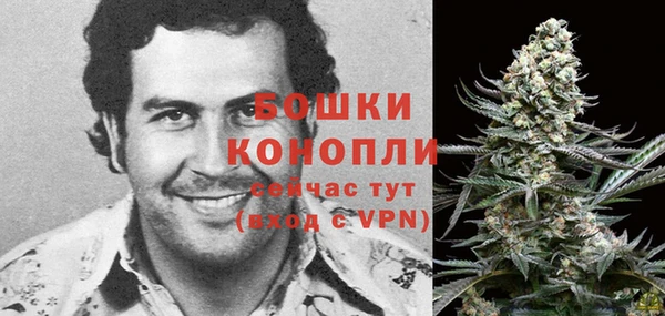 тгк Гусь-Хрустальный