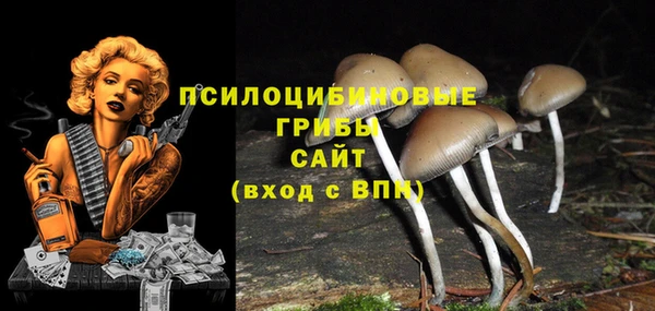 мескалин Дмитриев