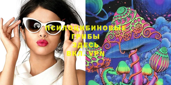 марки lsd Гусиноозёрск