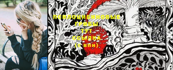 тгк Гусь-Хрустальный