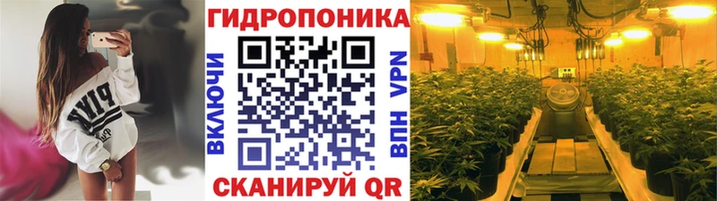 Купить  Свирск  Шишки марихуана ГИДРОПОН 